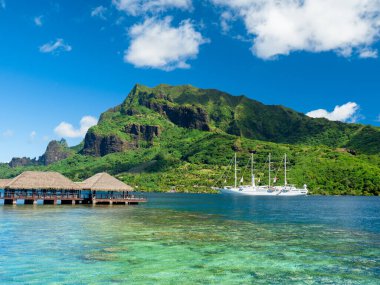 Windstar yelkenlisi Moorea 'nın mavi sularına demir attı.