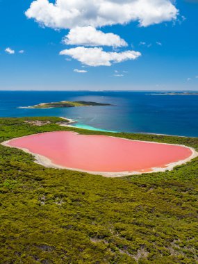 Flying over the pink lake, Lake Hillier near Esperance in Western Australia clipart