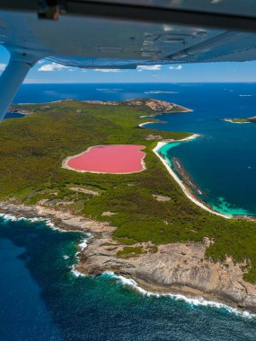 Pembe gölün üzerinde uçan, Batı Avustralya 'daki Esperance yakınlarındaki Hillier Gölü