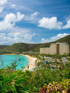Hamilton Adası 'ndaki Catseye Sahili boyunca WhitSunday, Queensland Avustralya