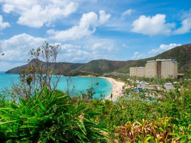 Hamilton Adası 'ndaki Catseye Sahili boyunca WhitSunday, Queensland Avustralya