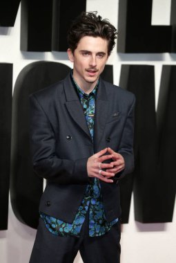 Timothee Chalamet, 14 Ocak 2025 tarihinde Londra, İngiltere 'de bulunan BFI Southbank' taki A Complete Unknown 'un Birleşik Krallık prömiyerine katılır..