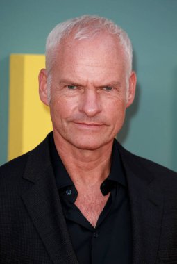 Martin McDonagh, 13 Ekim 2022 'de Londra, İngiltere' deki The Royal Festival Hall 'da düzenlenen 66. BFI Londra Film Festivali sırasında Inisherin Banshees' in İngiltere prömiyerine katılır..