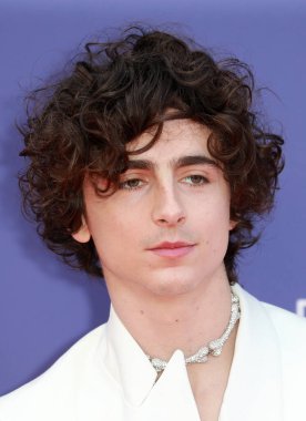 Timothee Chalamet, Londra 'nın başkenti Londra' daki The Royal Festival Hall 'da düzenlenen 66.. 