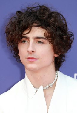 Timothee Chalamet, Londra 'nın başkenti Londra' daki The Royal Festival Hall 'da düzenlenen 66.. 