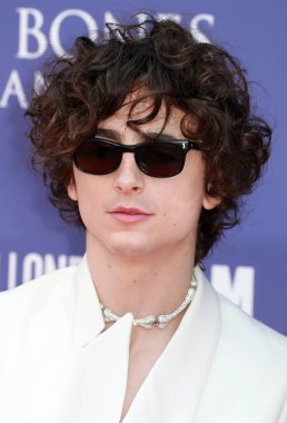 Timothee Chalamet, Londra 'nın başkenti Londra' daki The Royal Festival Hall 'da düzenlenen 66.. 
