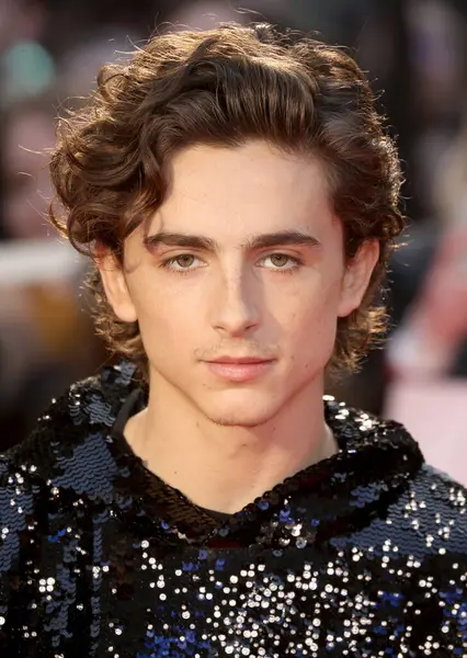 Timothee Chalamet, İngiltere 'nin başkenti Londra' da 3 Ekim 2019 'da Odeon Luxe Leicester Meydanı' nda düzenlenen 63..