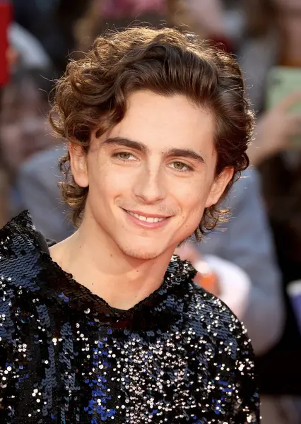 Timothee Chalamet, İngiltere 'nin başkenti Londra' da 3 Ekim 2019 'da Odeon Luxe Leicester Meydanı' nda düzenlenen 63..