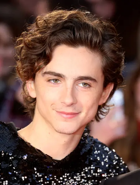 Timothee Chalamet, İngiltere 'nin başkenti Londra' da 3 Ekim 2019 'da Odeon Luxe Leicester Meydanı' nda düzenlenen 63..