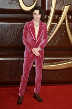 Timothee Chalamet, 28 Kasım 2023 'te Londra' daki The Royal Festival Hall 'da Wonka World Premiere' e katılır..