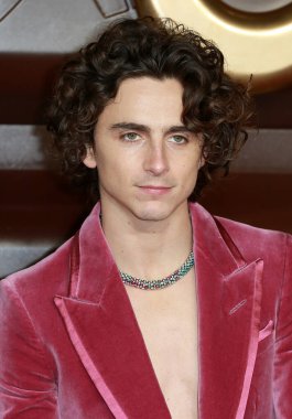 Timothee Chalamet, 28 Kasım 2023 'te Londra' daki The Royal Festival Hall 'da Wonka World Premiere' e katılır..