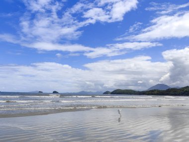 Praia da Fazenda - Ubatuba SP. Güzel ve dalgalı kumlu bir sahil, beyaz bulutlarla dolu açık mavi bir gökyüzünün altında denizin yumuşak dalgalarını yansıtıyor..