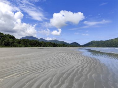 Praia da Fazenda - Ubatuba SP. Güzel ve dalgalı kumlu bir sahil, beyaz bulutlarla dolu açık mavi bir gökyüzünün altında denizin yumuşak dalgalarını yansıtıyor..