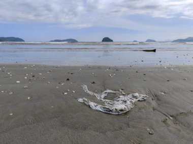 Plajın kumlarına atılmış, deniz kirliliğini yansıtan bir plastik parçasını betimleyen bir resim..