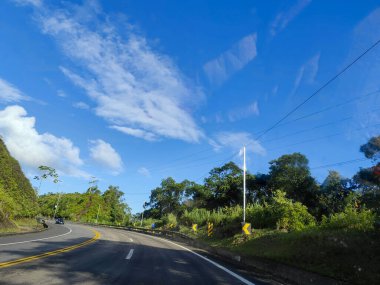 Yoğun yağmur ormanı bitkileriyle çevrili dolambaçlı bir yol, yemyeşil yapraklı ağaçlarla, berrak mavi bir gökyüzünün altında, bazı beyaz bulutlarla.