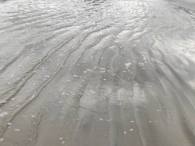 Yumuşak kum ve durgun suyla güneş ışığını yansıtan sakin bir sahil. Sahilde yemyeşil bir ortam var. Huzur ve sükunet ortamı yaratıyor..