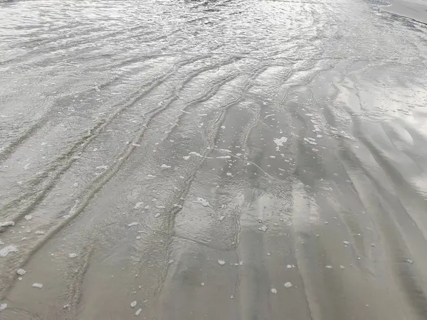 Yumuşak kum ve durgun suyla güneş ışığını yansıtan sakin bir sahil. Sahilde yemyeşil bir ortam var. Huzur ve sükunet ortamı yaratıyor..