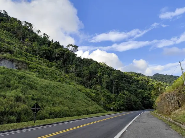 Yoğun yağmur ormanı bitkileriyle çevrili dolambaçlı bir yol, yemyeşil yapraklı ağaçlarla, berrak mavi bir gökyüzünün altında, bazı beyaz bulutlarla.