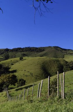 Yumuşak tepeleri ve açık mavi gökyüzü olan yeşil bir manzaranın güzel manzarası..