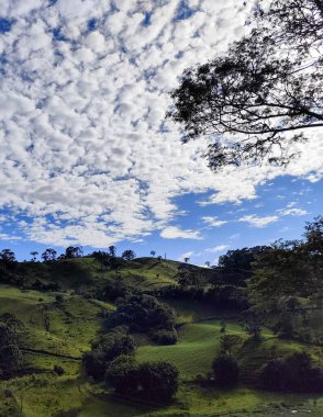 Yumuşak tepeleri ve açık mavi gökyüzü olan yeşil bir manzaranın güzel manzarası..