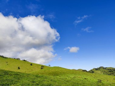 Yumuşak tepeleri ve açık mavi gökyüzü olan yeşil bir manzaranın güzel manzarası..