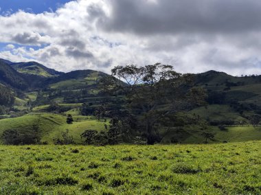 Yumuşak tepeleri ve açık mavi gökyüzü olan yeşil bir manzaranın güzel manzarası..