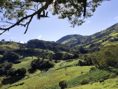 Yumuşak tepeleri ve açık mavi gökyüzü olan yeşil bir manzaranın güzel manzarası..