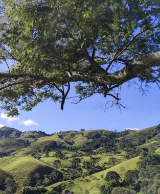 Yumuşak tepeleri ve açık mavi gökyüzü olan yeşil bir manzaranın güzel manzarası..