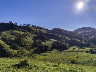 Yumuşak tepeleri ve açık mavi gökyüzü olan yeşil bir manzaranın güzel manzarası..