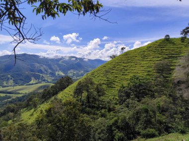 Yumuşak tepeleri ve açık mavi gökyüzü olan yeşil bir manzaranın güzel manzarası..