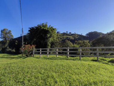 Güneşli bir günde, açık mavi bir gökyüzünün altında, arka planda taze çimenler ve ağaçlarla dolu yemyeşil bir tarlayı gösteren güzel, sakin bir manzara..