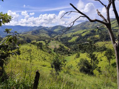 Yumuşak tepeleri ve açık mavi gökyüzü olan yeşil bir manzaranın güzel manzarası..