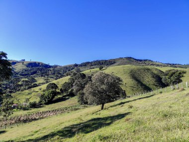 Yumuşak tepeleri ve açık mavi gökyüzü olan yeşil bir manzaranın güzel manzarası..