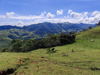 Yumuşak tepeleri ve açık mavi gökyüzü olan yeşil bir manzaranın güzel manzarası..