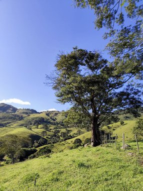 Yumuşak tepeleri ve açık mavi gökyüzü olan yeşil bir manzaranın güzel manzarası..