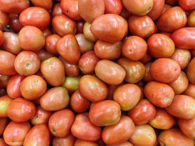 Taze, olgun ve parlak domateslerin bolluğu.