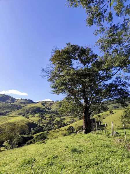 Yumuşak tepeleri ve açık mavi gökyüzü olan yeşil bir manzaranın güzel manzarası..