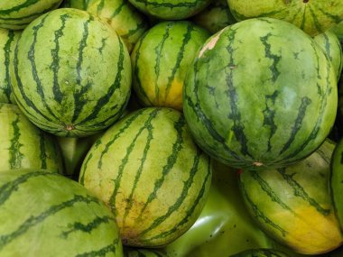 Görüntü çizgili yeşil kabuklu karpuz yığınını gösteriyor. Doğal ışık onun dokusunu ve tazeliğini ön plana çıkarıyor, yaz hissini ve karpuzların tatlı, sulu tadını çağrıştırıyor..