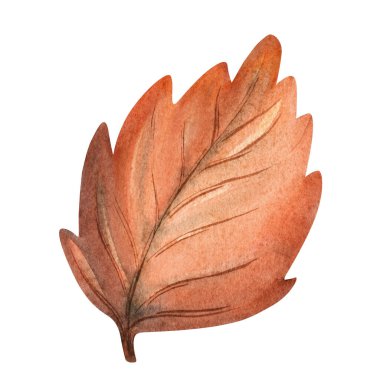 Mevsimsel Dekor, Albüm ve Çocuk Kitapları İçin Sonbahar Akçaağaç Yaprağı Tuhaf Rus Halkı Resimleri