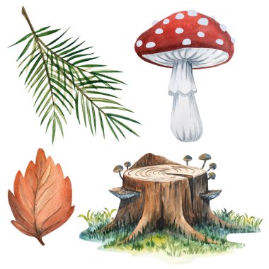 Orman yapraklarının suluboya çizimi, çam dalı, ağaç kütüğü ve mantar. Elle boyanmış botanik elementler mevsimlik dekorasyon, davetiyeler, tebrik kartları, hatıra defteri ve doğa temalı tasarımlar için mükemmeldir..