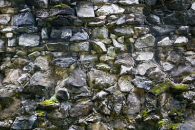 A close-up view of an old stone wall covered with patches of green moss, showing off the rough texture and variety of stone shapes and sizes, creating a natural, rustic appearance. clipart