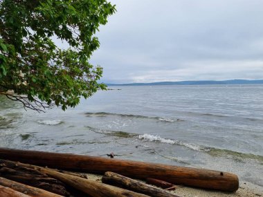 Elliots Sahili 'nden dağlara doğru bakıyor.