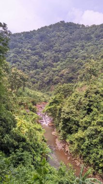 Dağlardaki nehrin güzel manzarası