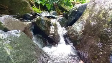 Dağ nehri kayaların arasından akar.