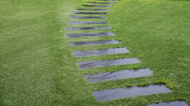 Yemyeşil çimlere kurulmuş ıslak taş bir patika. Yağmurla ıslanmış taşlar, huzurlu bir gezinti için mükemmel, sakin bir bahçe manzarasında gözü yansıtan bir yüzey oluşturur..