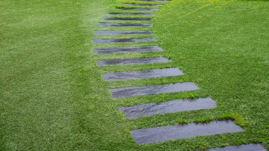 Yemyeşil çimlere kurulmuş ıslak taş bir patika. Yağmura batırılmış taşlar yansıtıcı bir yüzey oluşturur. 