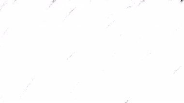 Boya Fırçası Yazısal Geçiş Soyut Vuruşlar Alfa Şeffaf Arkaplan, çapraz yön. Fırça darbesi siyah ve beyaz geçiş animasyon arkaplanı.