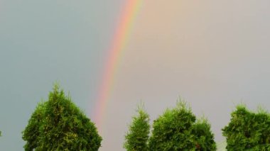 Yeşil ağaçların üzerinde açık mavi gökyüzünde güzel, canlı bir gökkuşağı. Doğal yaz manzarası, umut, uyum ve ilhamın sembolü..