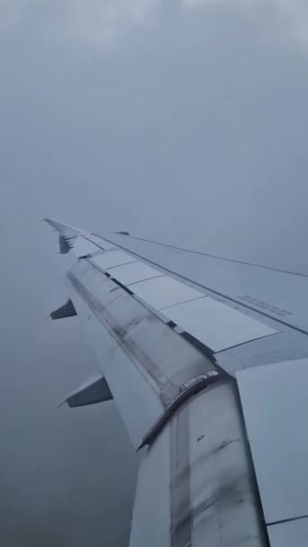 Avión Aterrizando Como Través Ventana Timelapse Vertical Del Vuelo Del — Vídeos de Stock