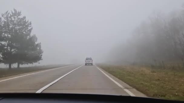 从移动的汽车挡风玻璃向雾蒙蒙的路上望去 路上光秃秃的树木令人毛骨悚然 多云的天气 秋末的风景 — 图库视频影像